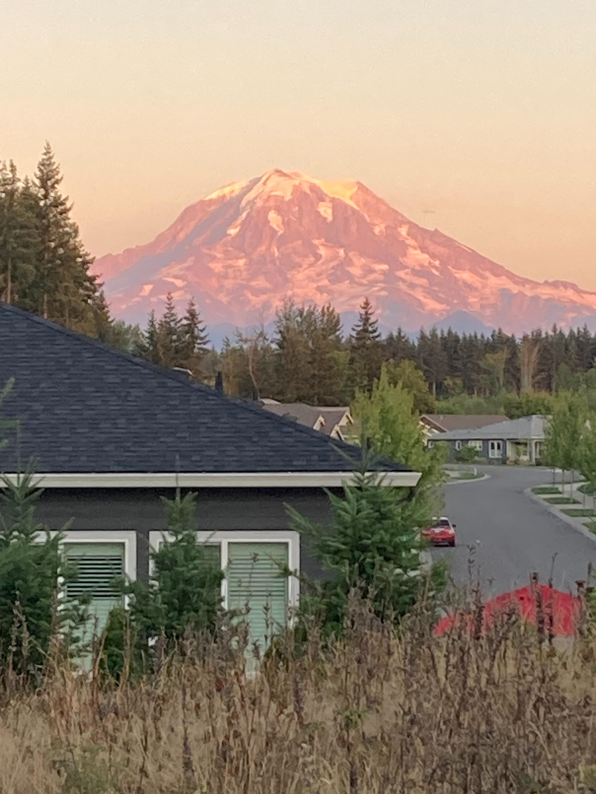 Mount Rainier glowing in evening light above a Northwest neighborhood